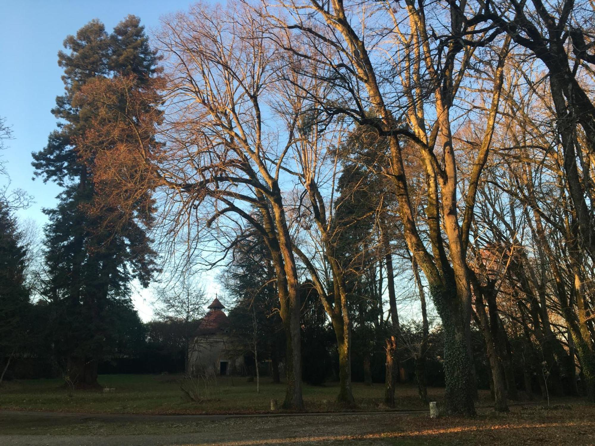 Chateau De Chasseneuil Sur Bonnieure Kültér fotó