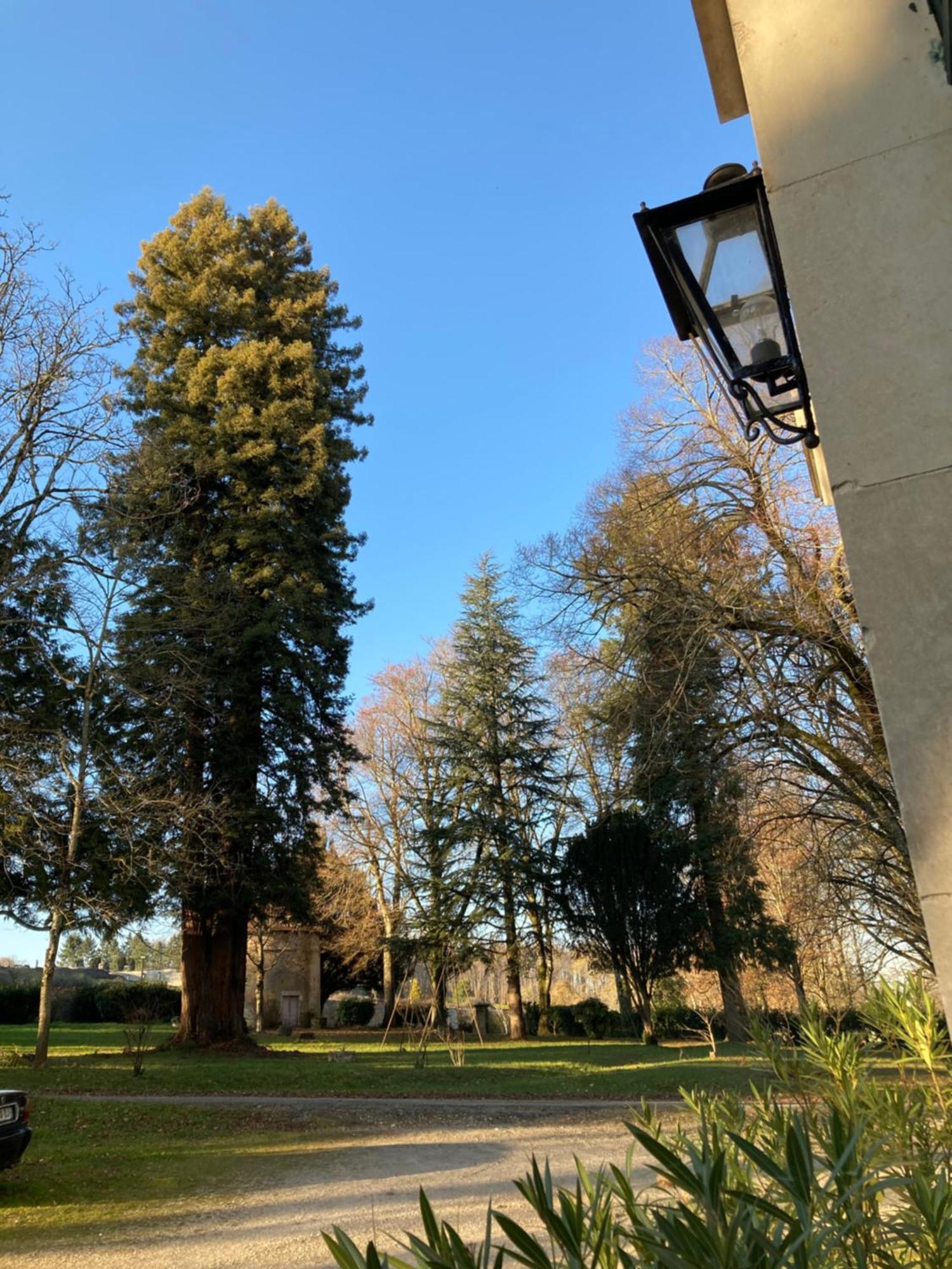 Chateau De Chasseneuil Sur Bonnieure Kültér fotó