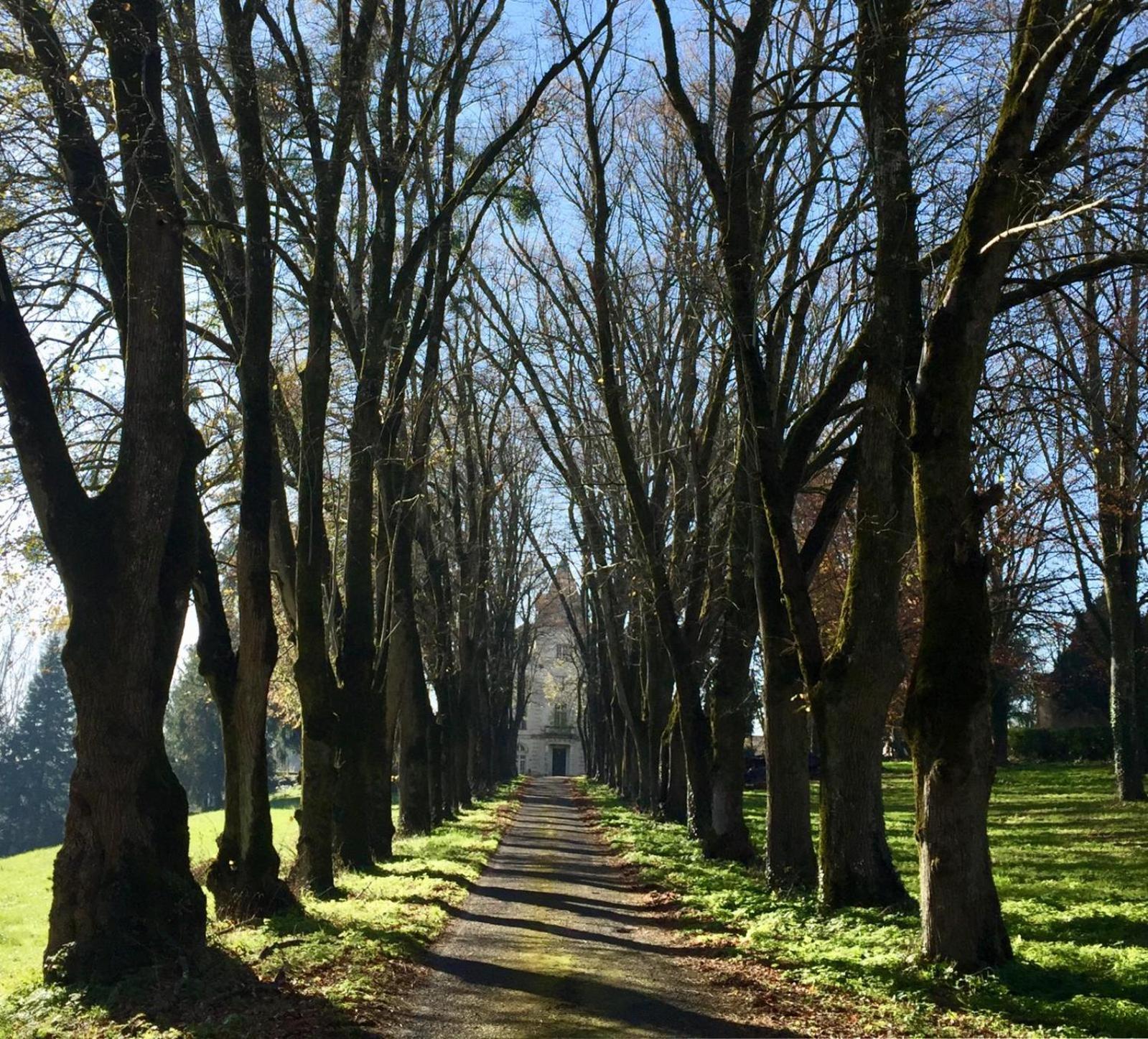 Chateau De Chasseneuil Sur Bonnieure Kültér fotó